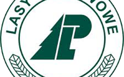 logo lasy panstwowe