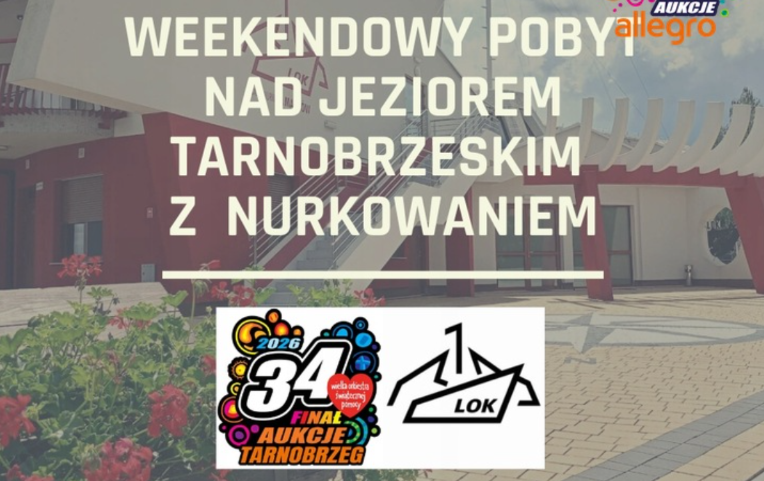 infografika