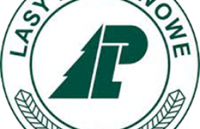 logo lasy panstwowe
