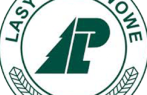 logo lasy panstwowe