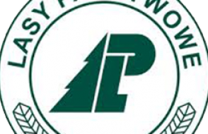 logo lasy panstwowe